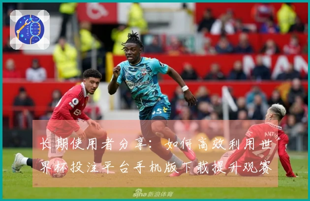 长期使用者分享：如何高效利用世界杯投注平台手机版下载提升观赛体验