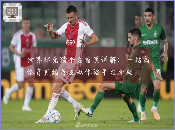 世界杯竞猜平台首页详解：一站式体育直播与互动体验平台介绍