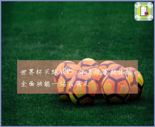 世界杯买球APP：体育观赛新体验，全面功能一站式满足