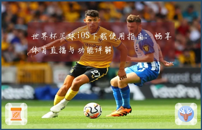 世界杯买球iOS下载使用指南：畅享体育直播与功能详解