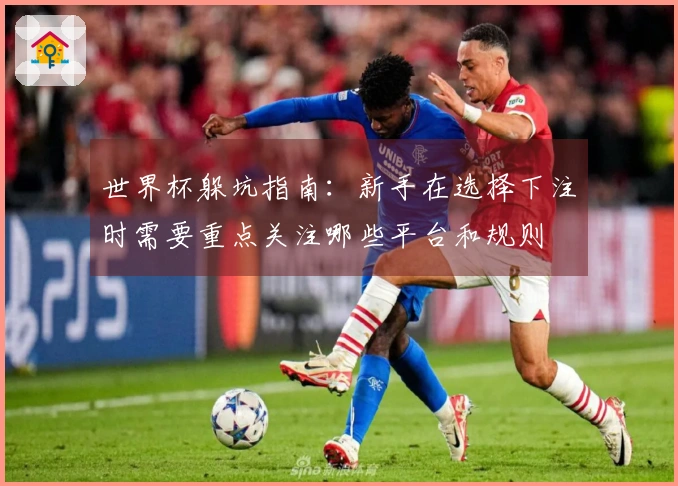 世界杯躲坑指南：新手在选择下注时需要重点关注哪些平台和规则
