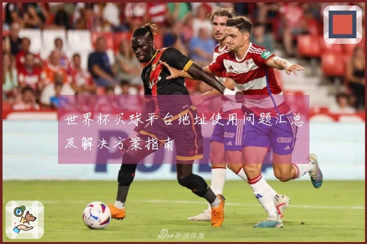 世界杯买球平台地址使用问题汇总及解决方案指南