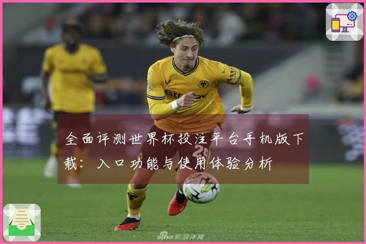 全面评测世界杯投注平台手机版下载：入口功能与使用体验分析