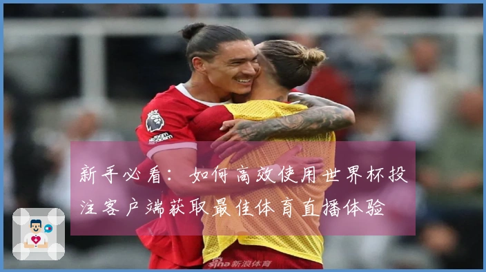 新手必看：如何高效使用世界杯投注客户端获取最佳体育直播体验
