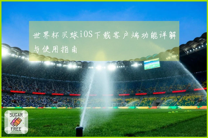 世界杯买球iOS下载客户端功能详解与使用指南