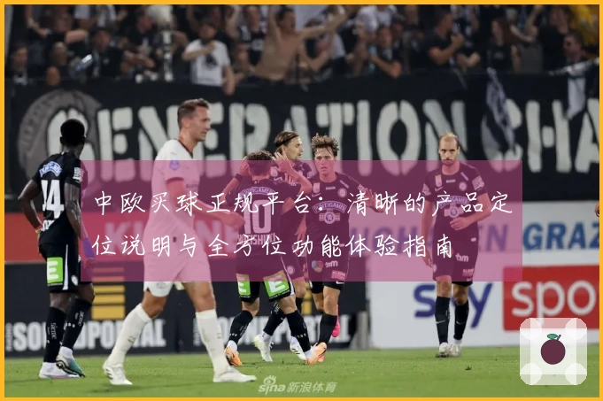 中欧买球正规平台：清晰的产品定位说明与全方位功能体验指南