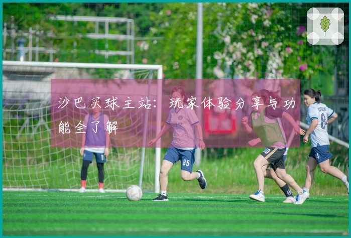 沙巴买球主站：玩家体验分享与功能全了解