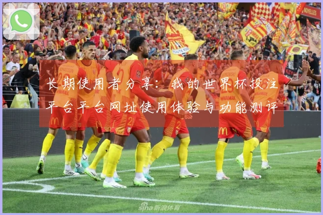 长期使用者分享：我的世界杯投注平台平台网址使用体验与功能测评