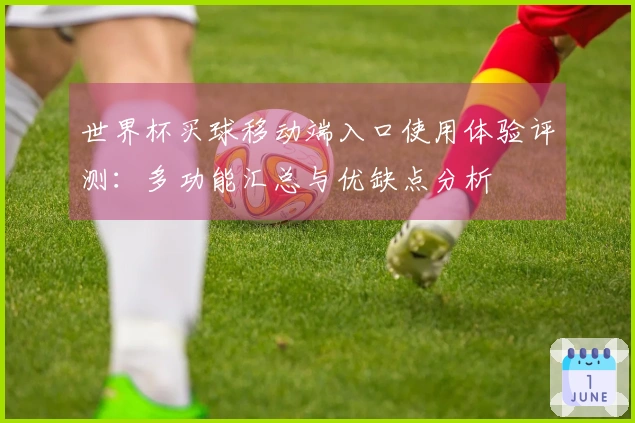 世界杯买球移动端入口使用体验评测：多功能汇总与优缺点分析